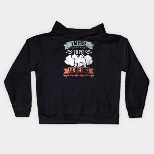 I'm Here To Pet All The Cats Retro Cat Sitting A Pet Sitter Kids Hoodie